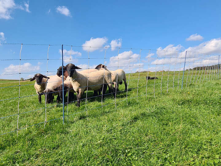 AKO Schafsnetz TitanNet Premium Vario